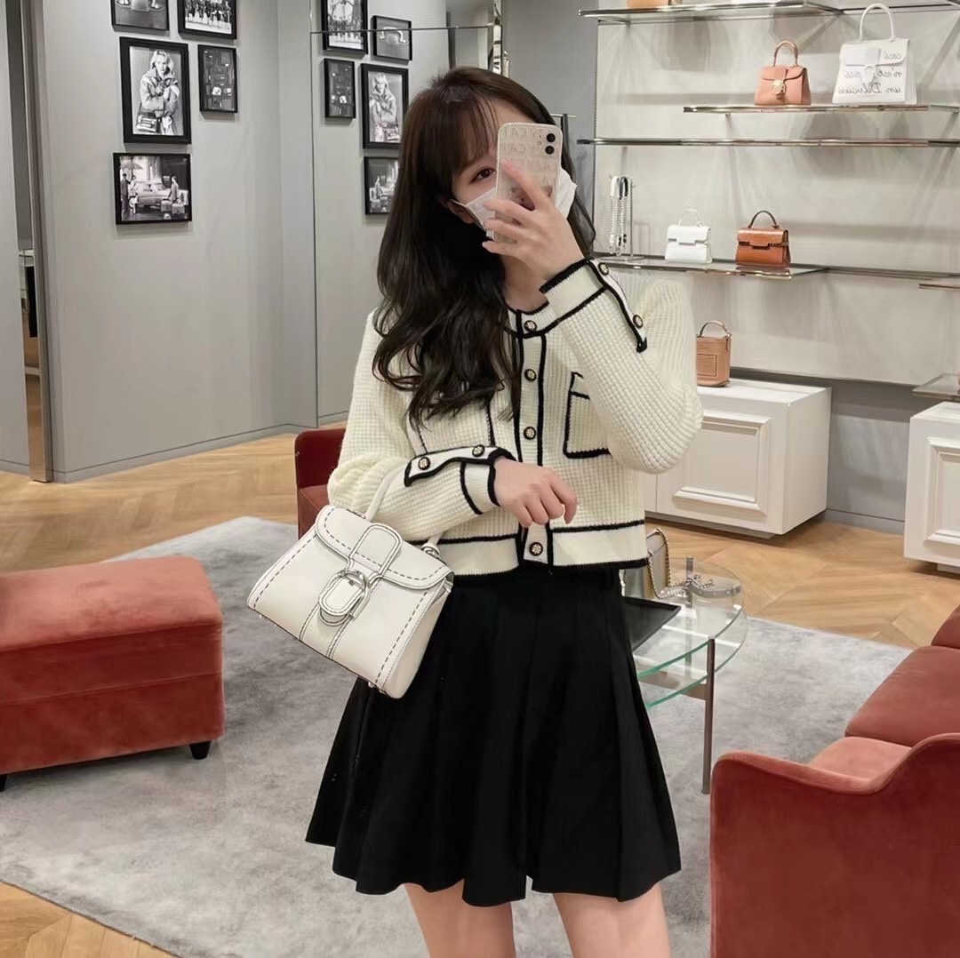 델보 브리앙 박스백 미니